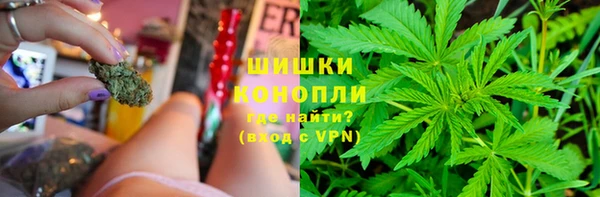 прущие грибы Михайловка