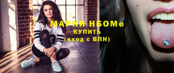 прущие грибы Михайловка