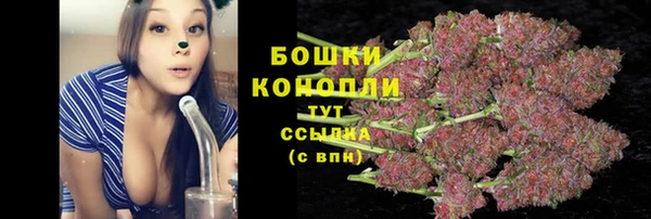 прущие грибы Михайловка